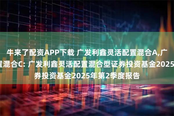 牛来了配资APP下载 广发利鑫灵活配置混合A,广发利鑫灵活配置混合C: 广发利鑫灵活配置混合型证券投资基金2025年第2季度报告