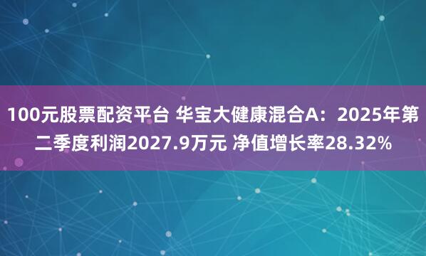 100元股票配资平台 华宝大健康混合A：2025年第二季度利润2027.9万元 净值增长率28.32%